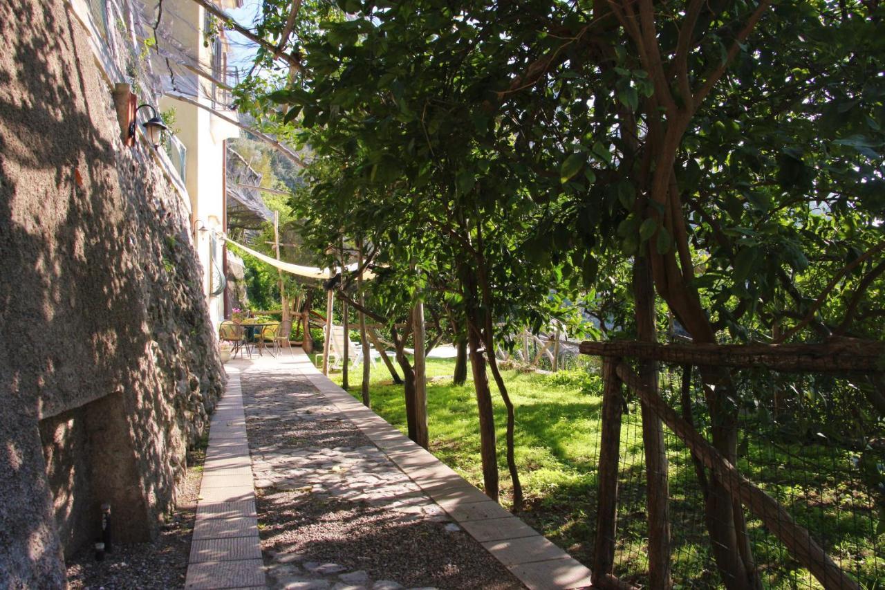 Casa Ortensia Minori Εξωτερικό φωτογραφία